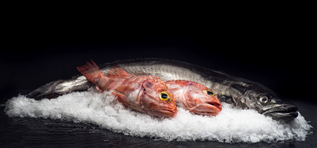 Recetas de pescado al horno